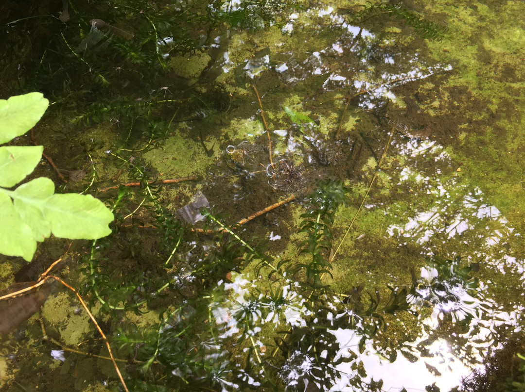 Sayo-cho Konchukan-佐用町必去景点