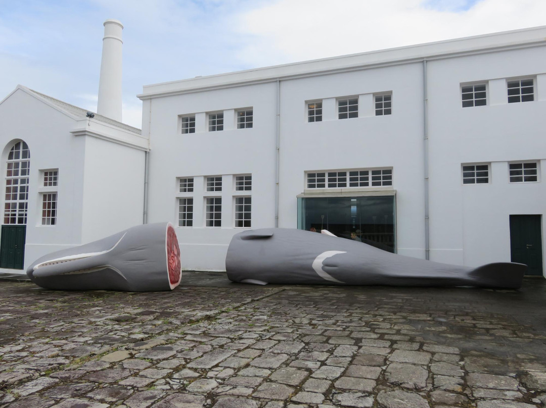Museu da Fábrica da Baleia do Boqueirão景点图片