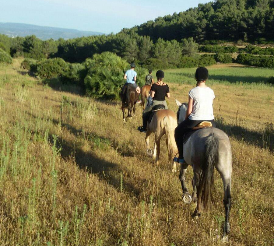 Agripark-阿尔盖罗必去景点