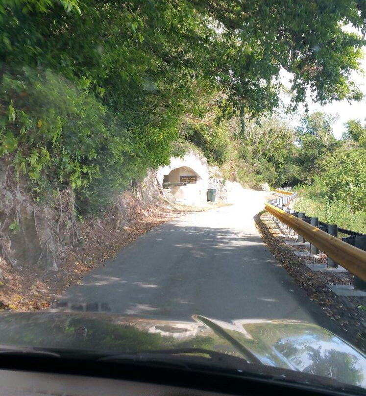 Old Japanese Cannon-Rota必去景点