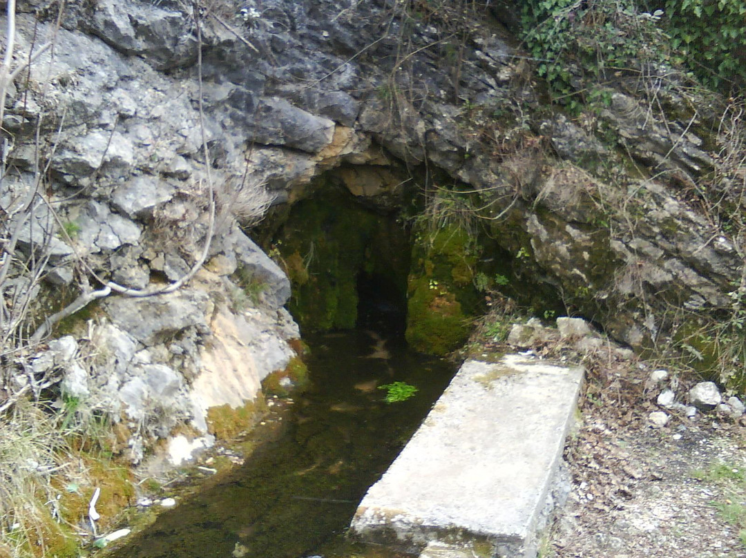 Borak River Source景点图片