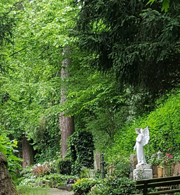 Bergfriedhof Heidelberg景点图片