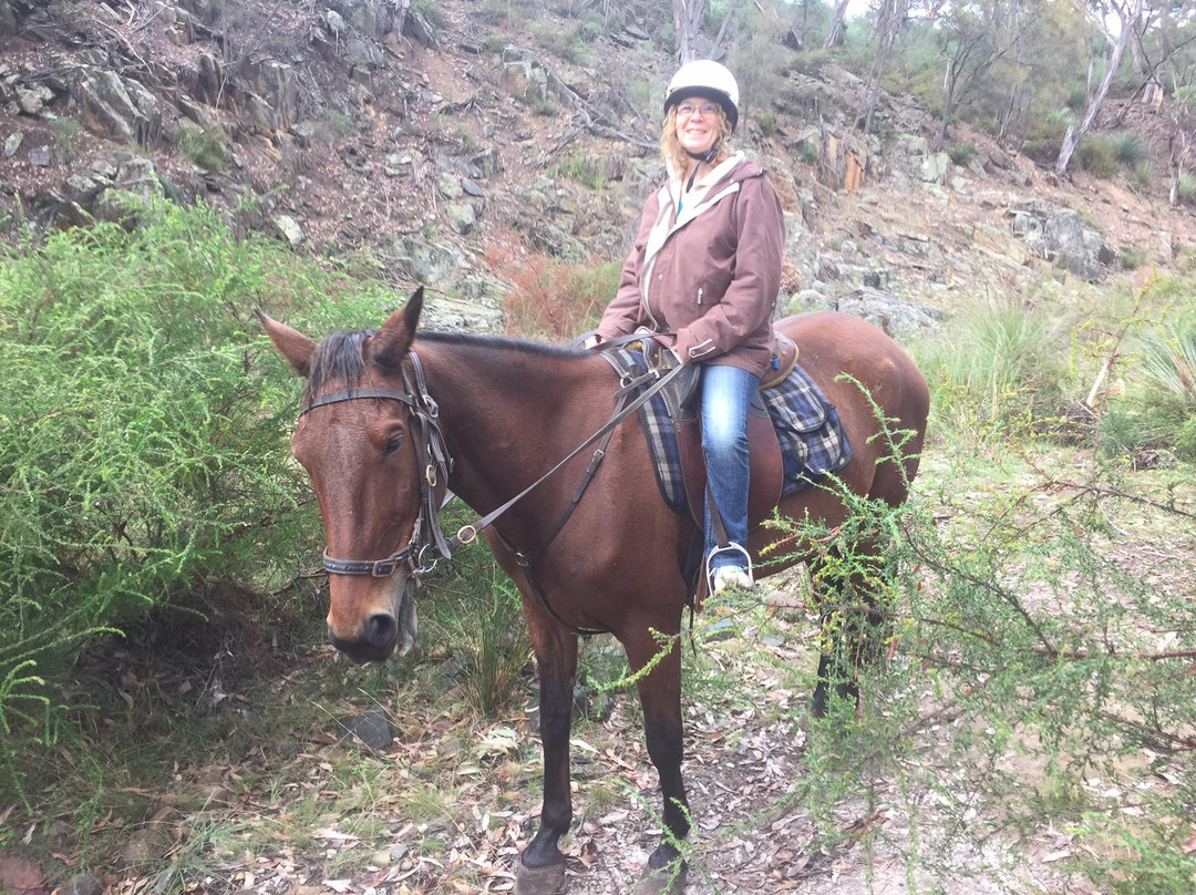 Tiger Trails-袋鼠岛必去景点