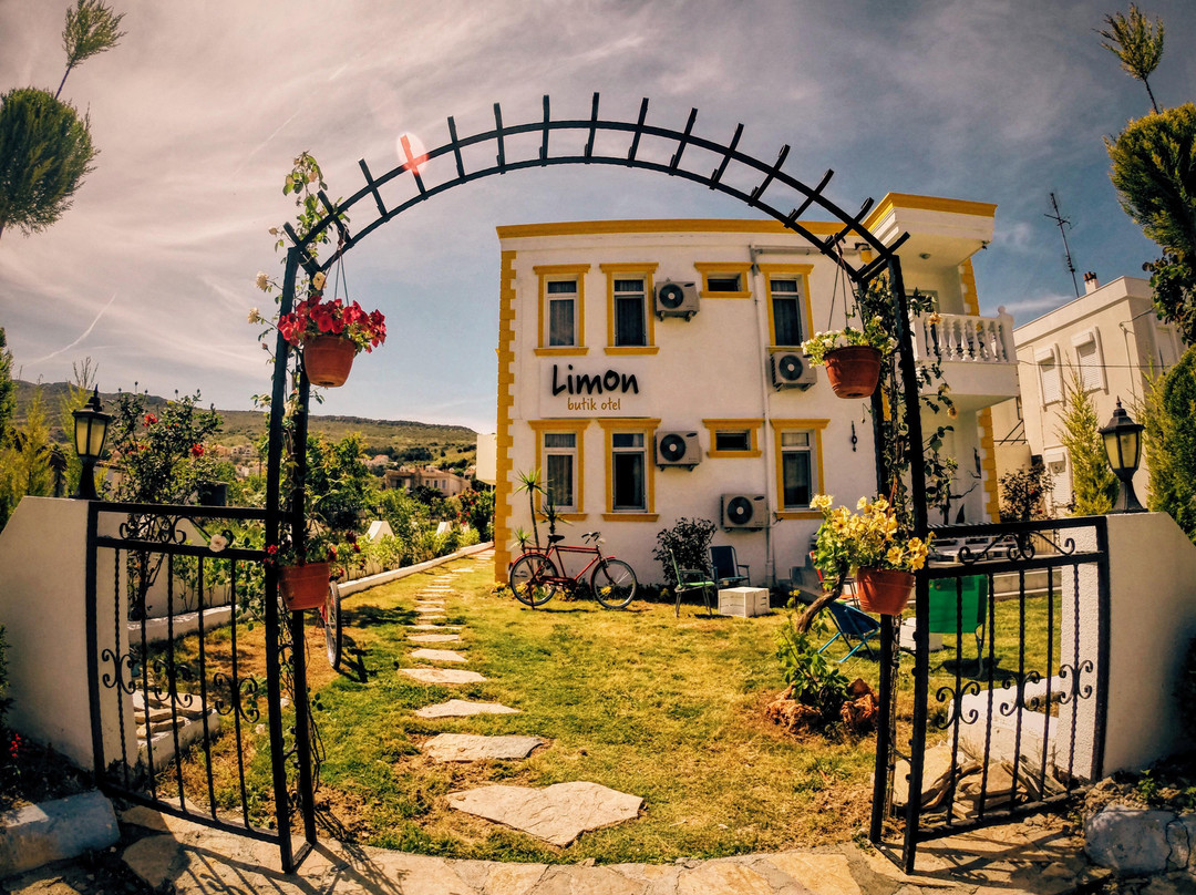 Limon Pension