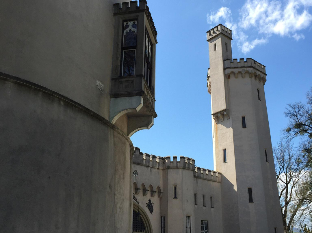 Schloss Wolfsberg景点图片
