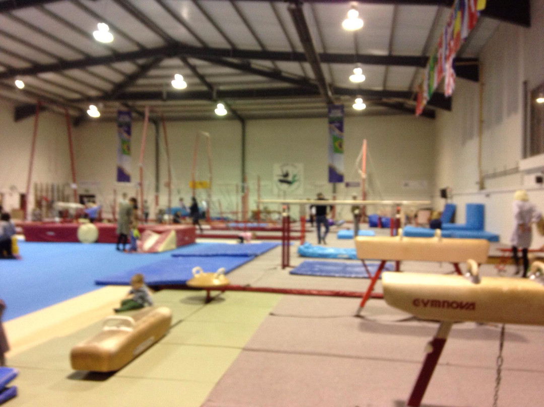 Pipers Vale Gymnastic Club景点图片