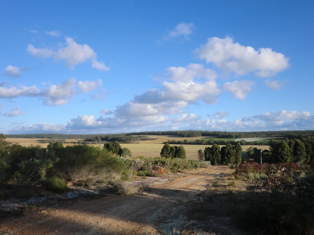 Torbay旅游景点-Yilgarnia Wines