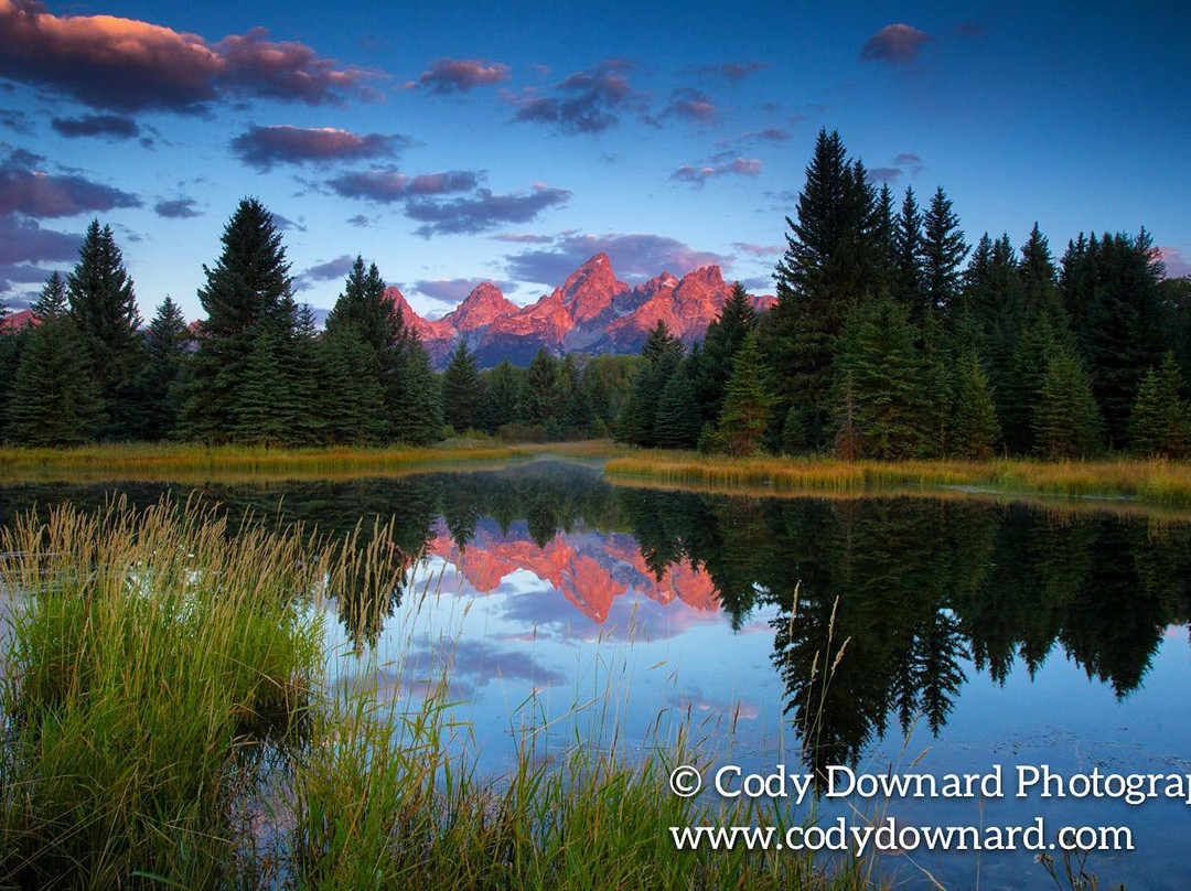 Cody Downard Photography Workshops and Tours-威尔逊必去景点