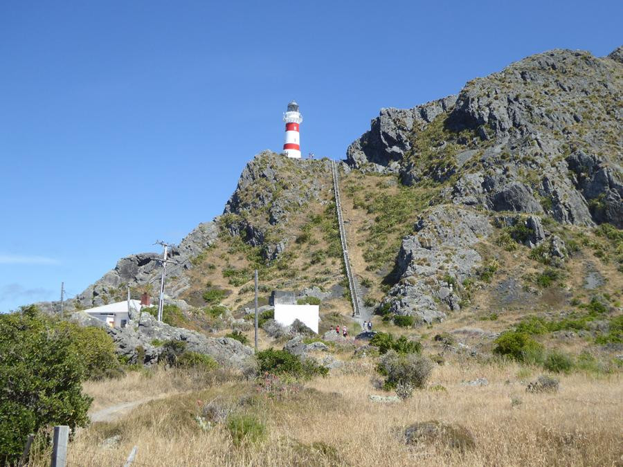 Cape Palliser Lighthouse景点图片