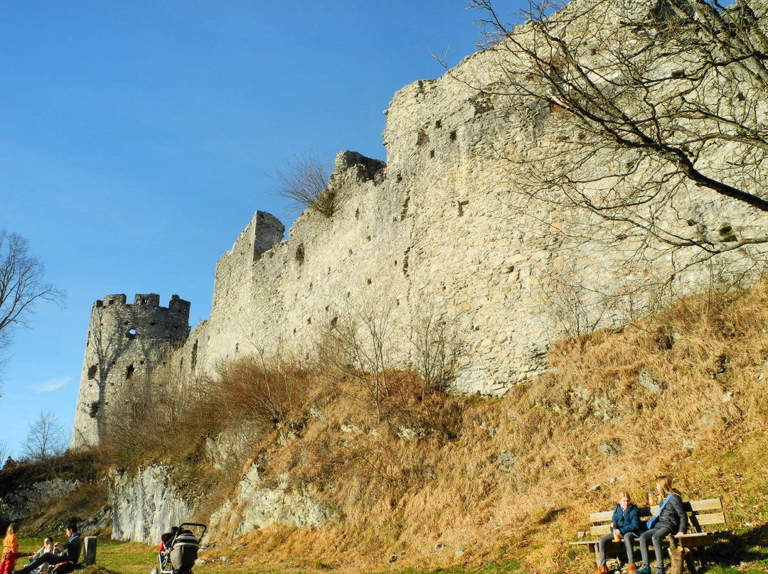 Burgruine Hohenfreyberg景点图片
