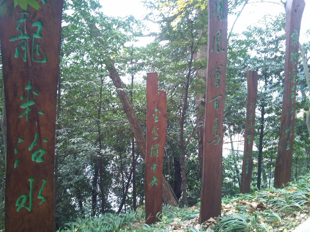 南华山神凤文化景区景点图片