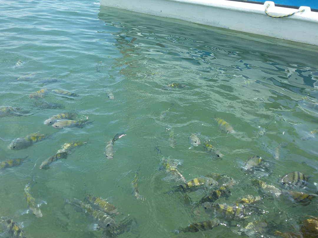 De Lancha-Barra de Sao Miguel必去景点