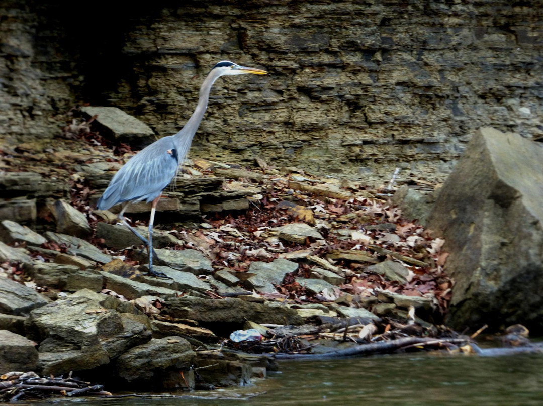 Smith Lake Park景点图片