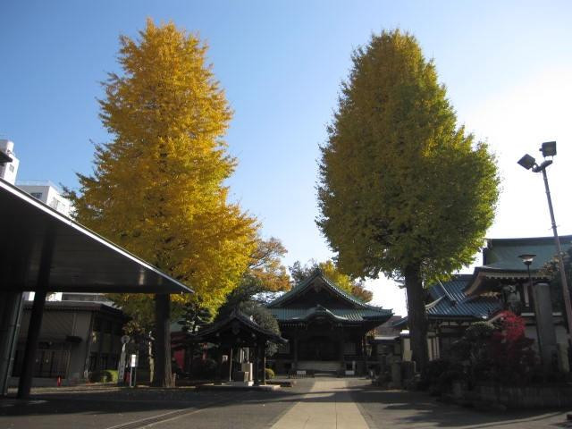 Shokaku-ji Temple-Nakameguro必去景点