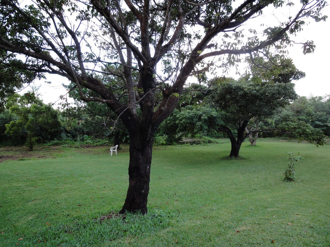 Pension Prussian Blue主图