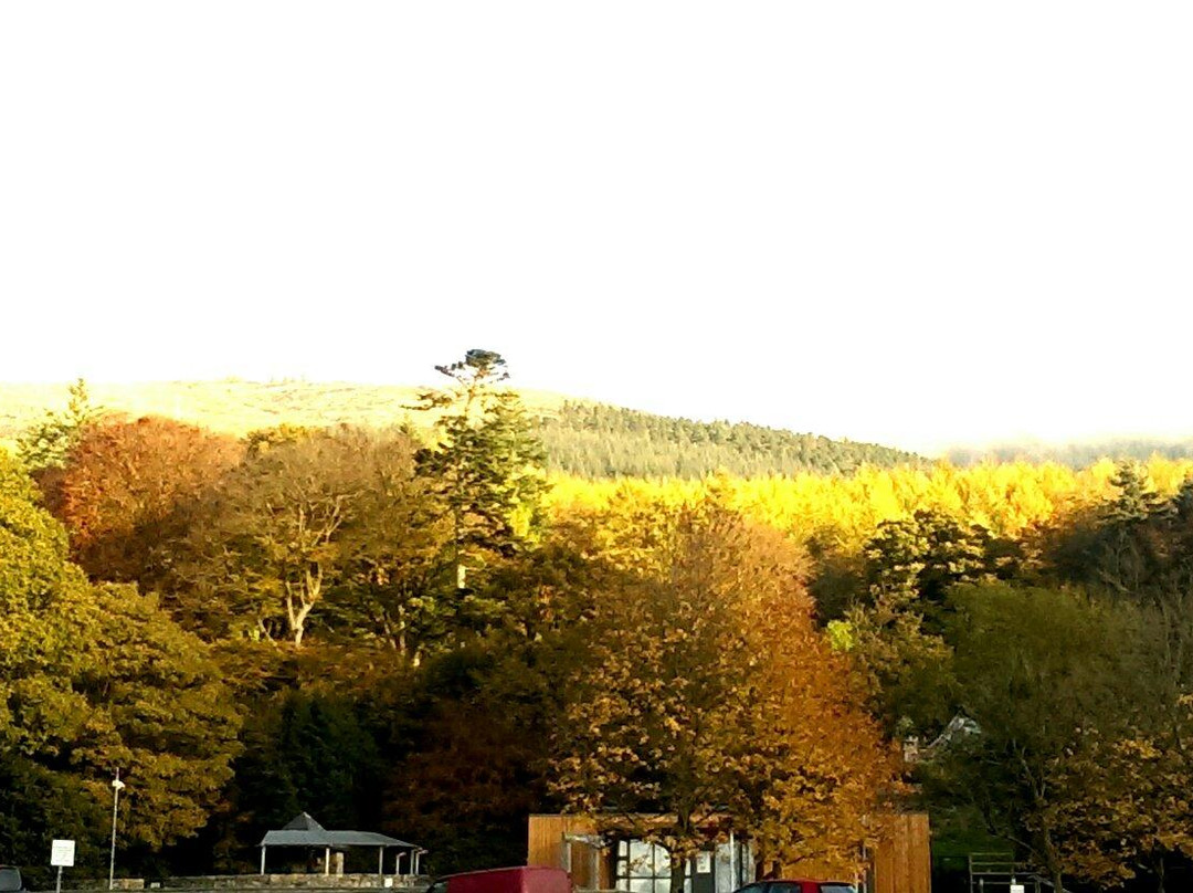 Rostrevor Mountain Bike Trails景点图片