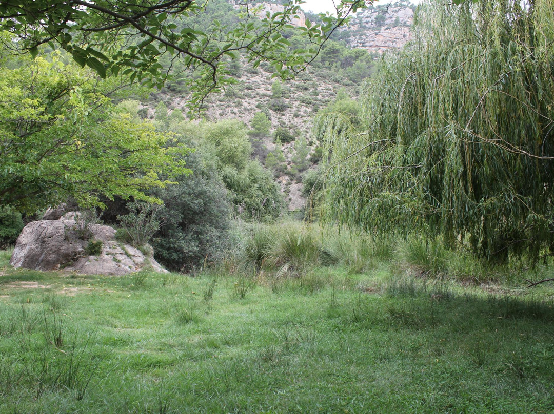 Nacimiento del Rio Tuejar景点图片