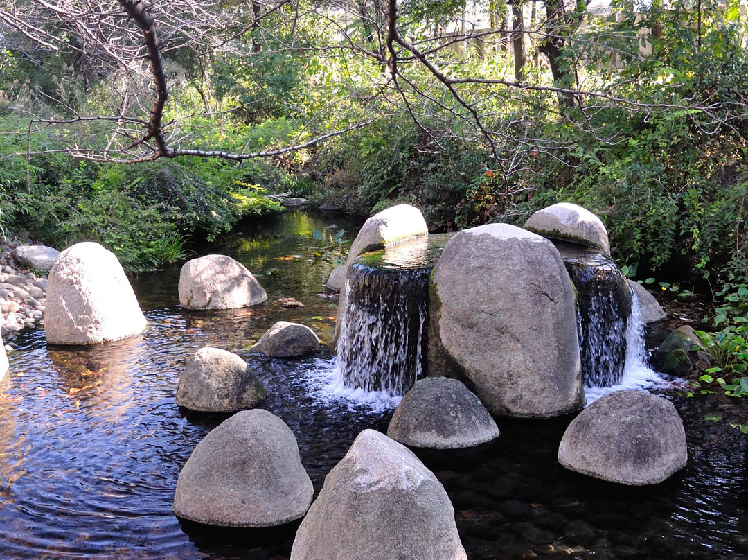 Tachikawa Park-立川市必去景点