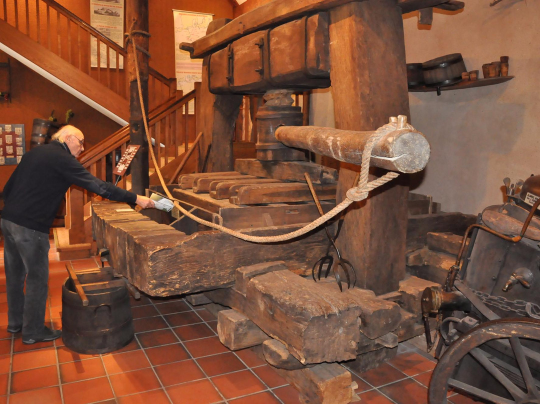 Musee du Vignoble Et des Vins d'Alsace景点图片
