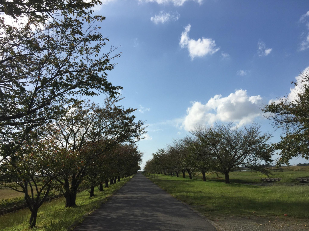 Fukushimagata-新泻市必去景点