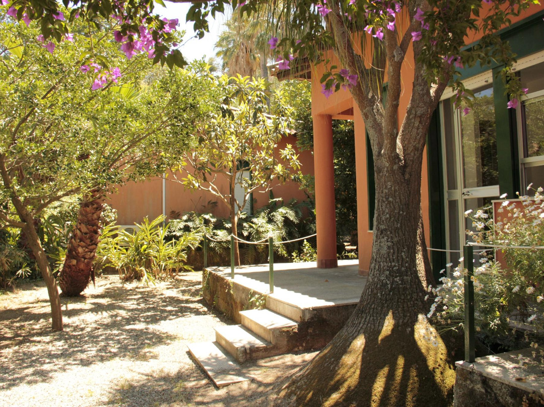 Le Palme Garden