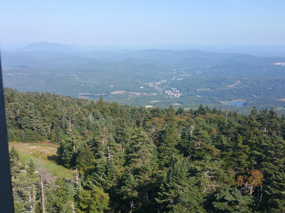 Healdville Trail-Ludlow必去景点