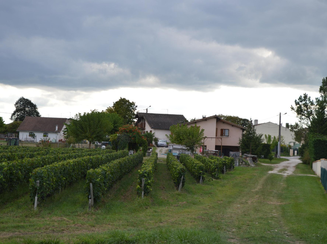 Clos La Rose de Grave主图