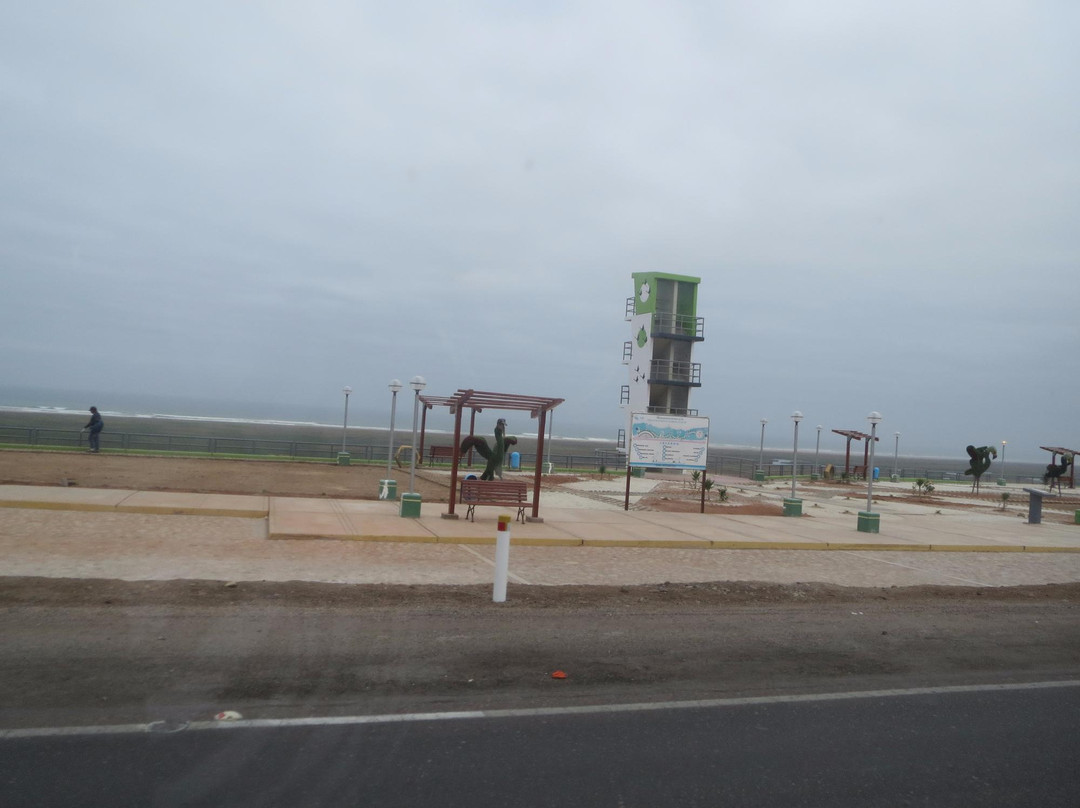 El Museo del Desierto y el Mar - El museo de ITE-塔克纳必去景点