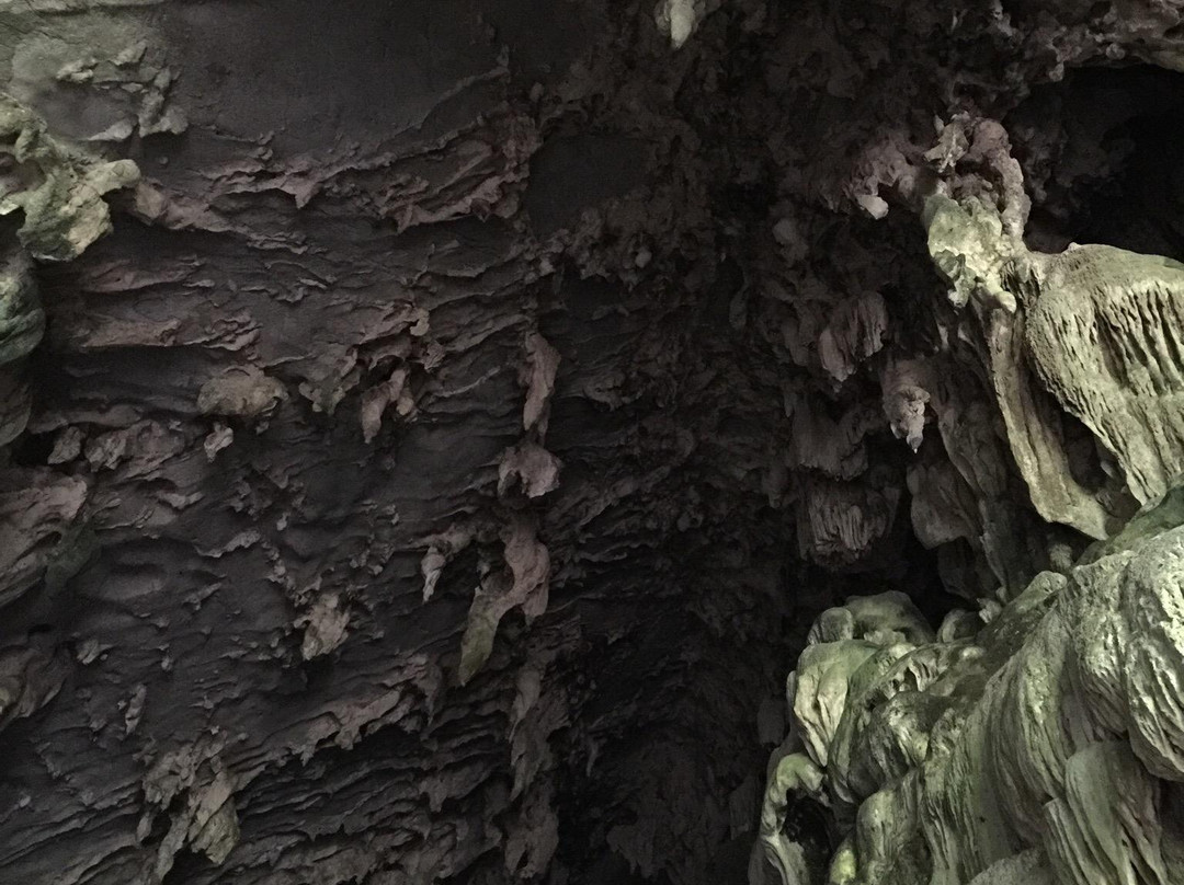 Cave of Guacharo景点图片