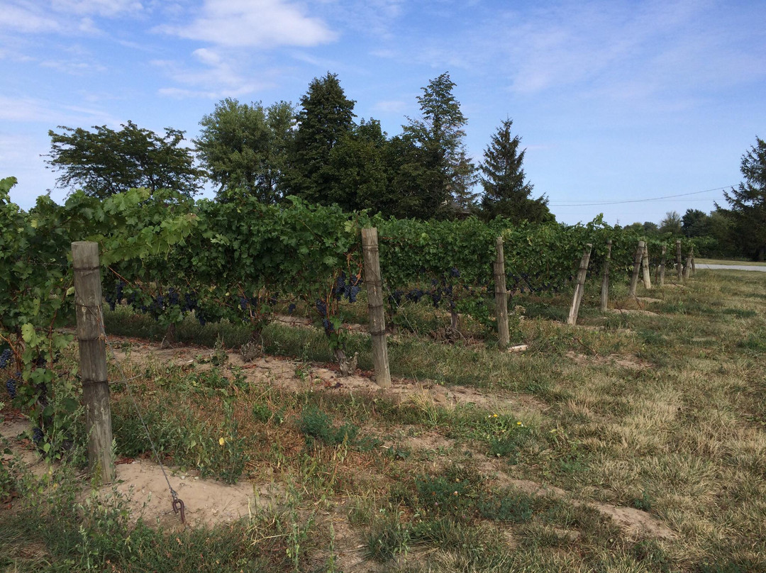 Niagara Getaway Wine Tours-滨湖尼亚加拉必去景点