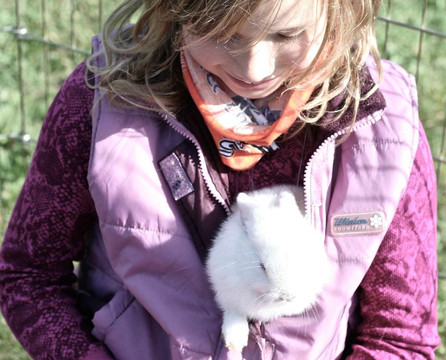 Double D-Lux Ranch-Smithers必去景点