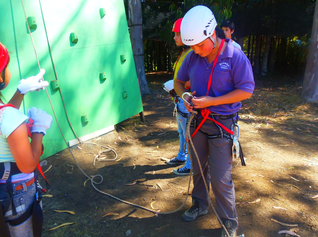 Turismo Alumko-Ancud必去景点