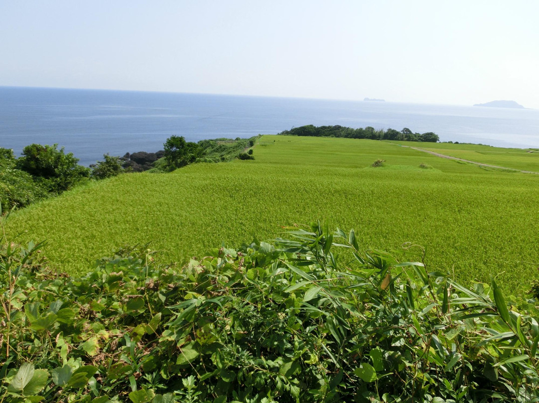 Nii Terraces-伊根町必去景点