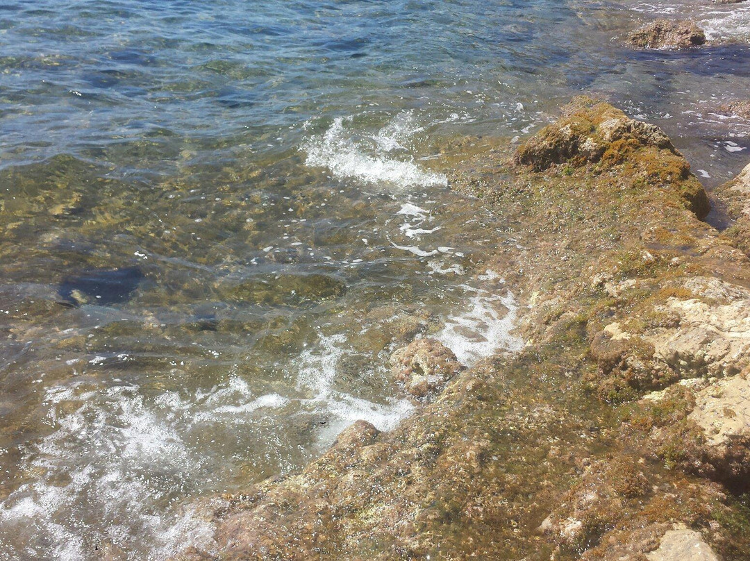 Cala Mar Morto景点图片