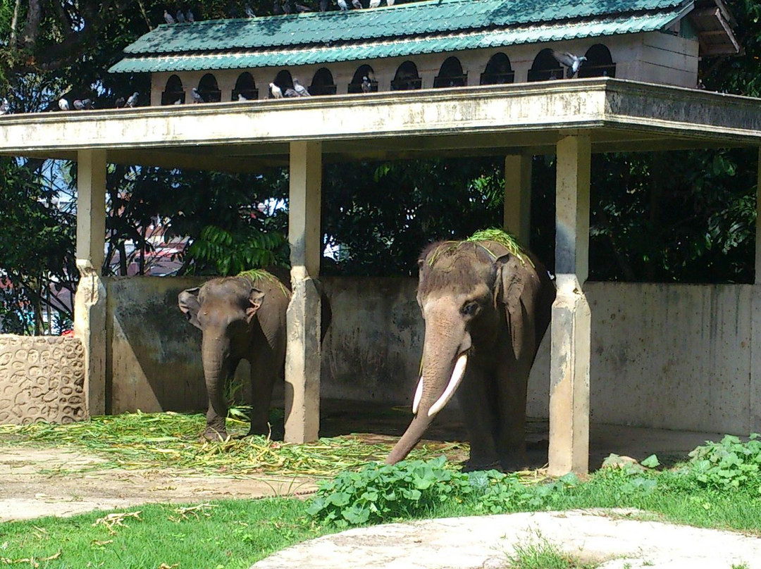 Wildlife Cultural Park Kinantan-武吉丁宜必去景点