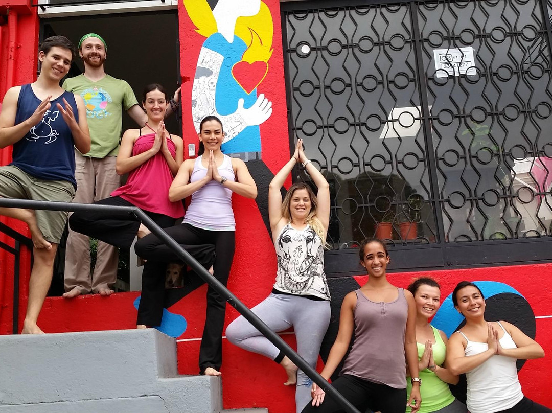 Downtown Yoga - Single Day Classes景点图片
