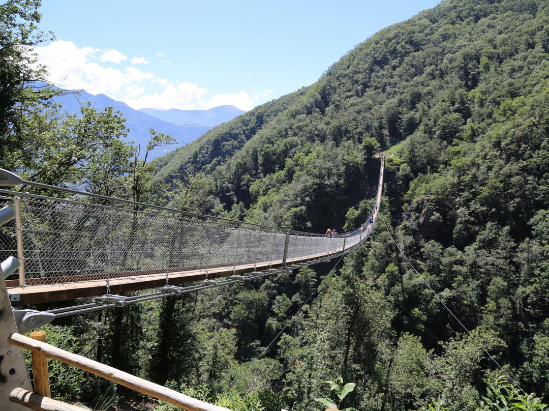 Monte Carasso旅游攻略图片