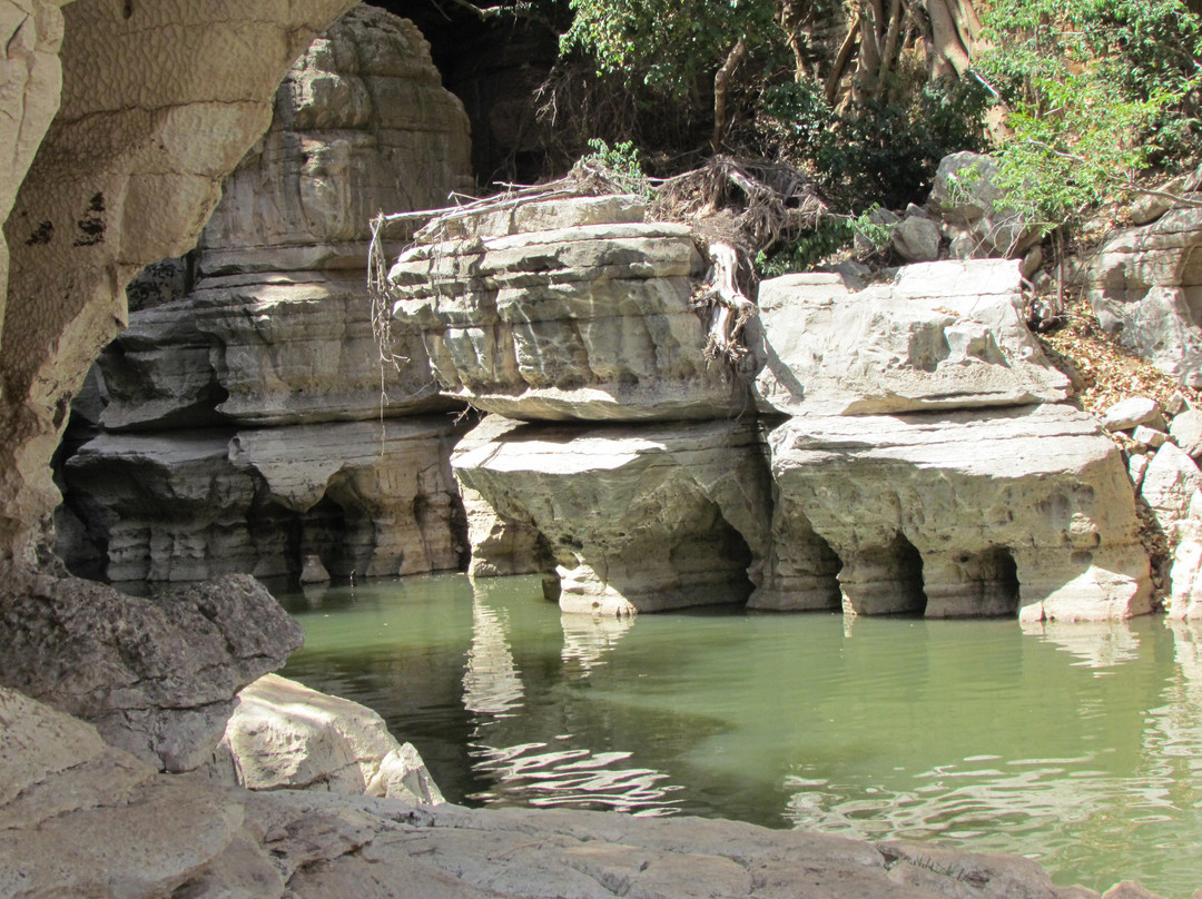 Sof Omar Cave景点图片