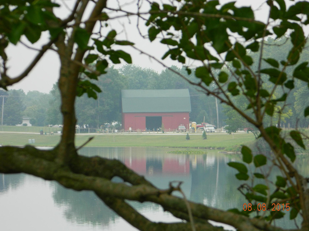 Fidler Pond Park景点图片