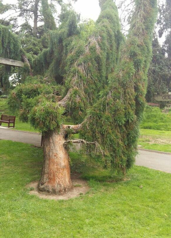 University of Agriculture-Faisalabad必去景点