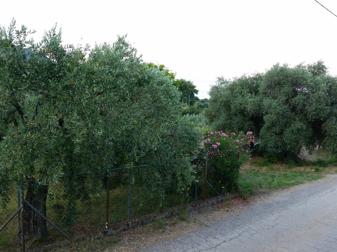 Sarimpalas Rooms主图