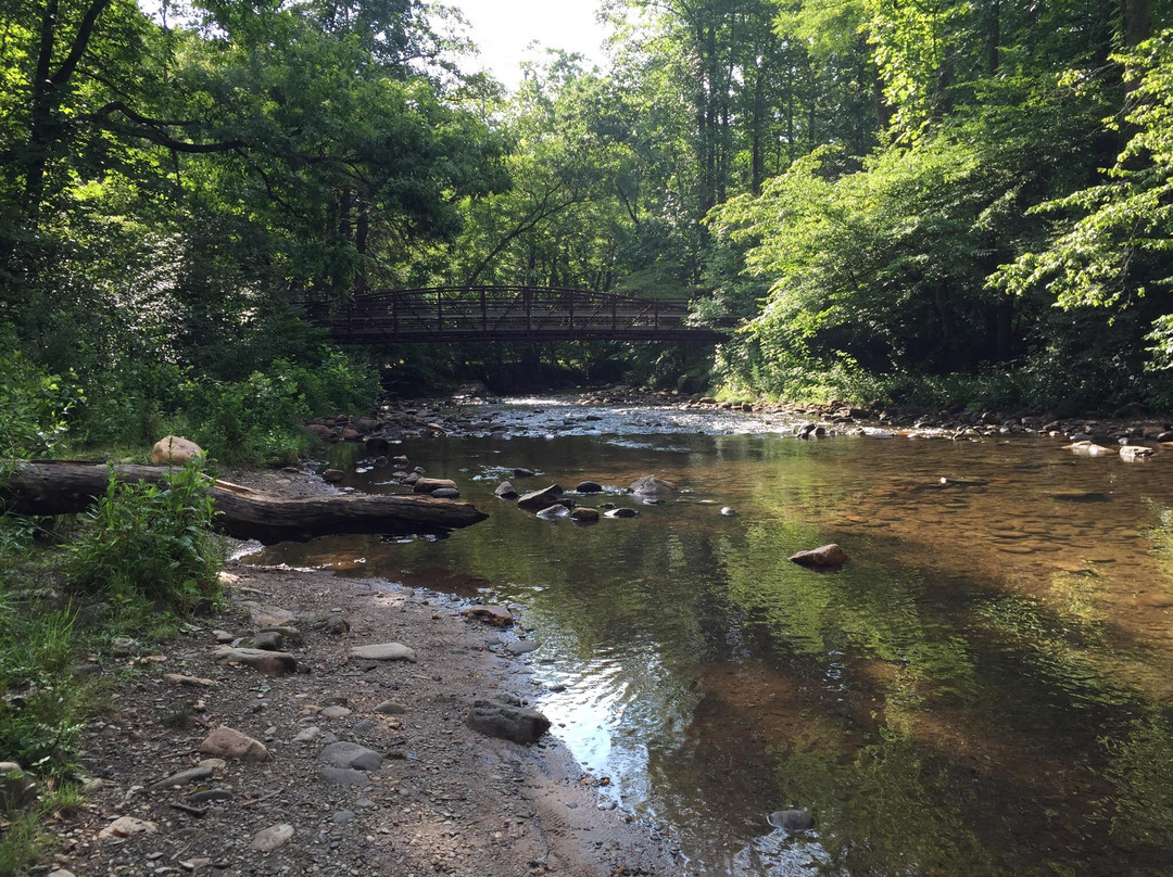 North Mills River Campground
