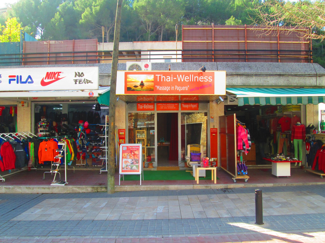Thai-Wellness Massage in Peguera景点图片