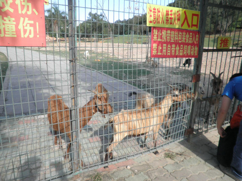 厦门海沧野生动物园-厦门市必去景点