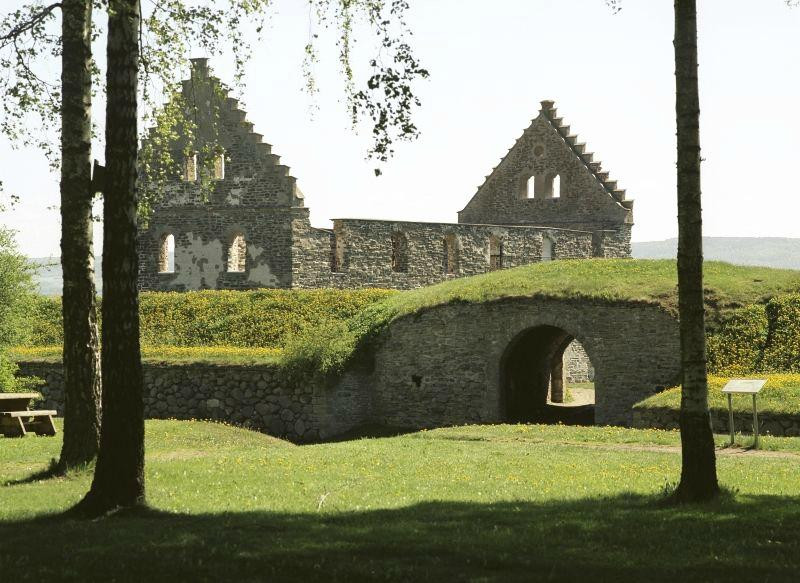 Wisingso Hotel & Konferens主图