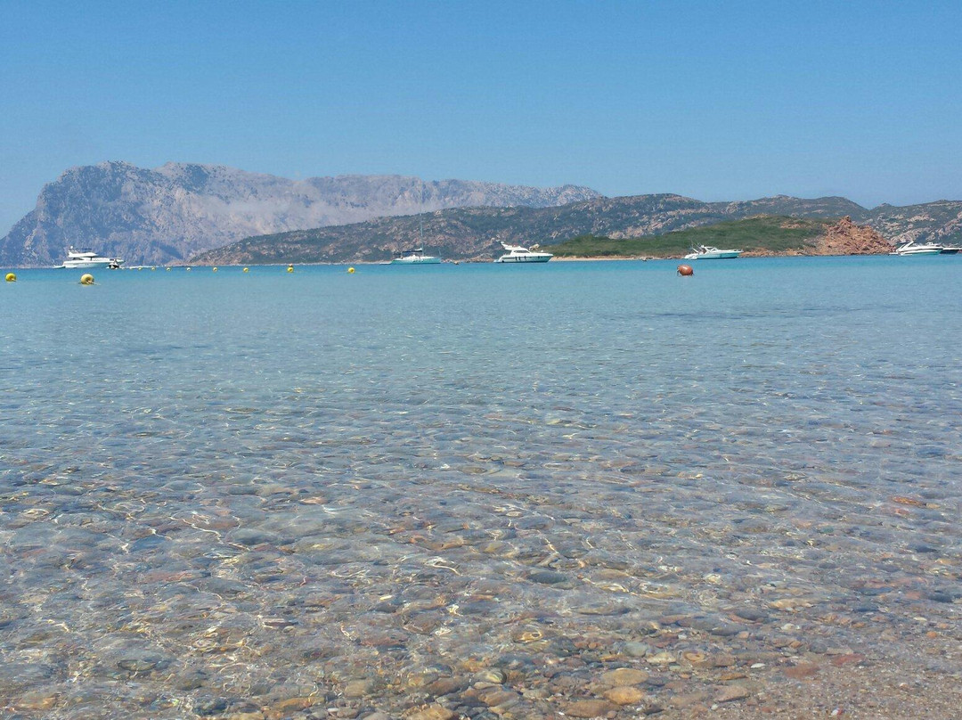 Spiaggia Capo Coda Cavallo-San Teodoro必去景点