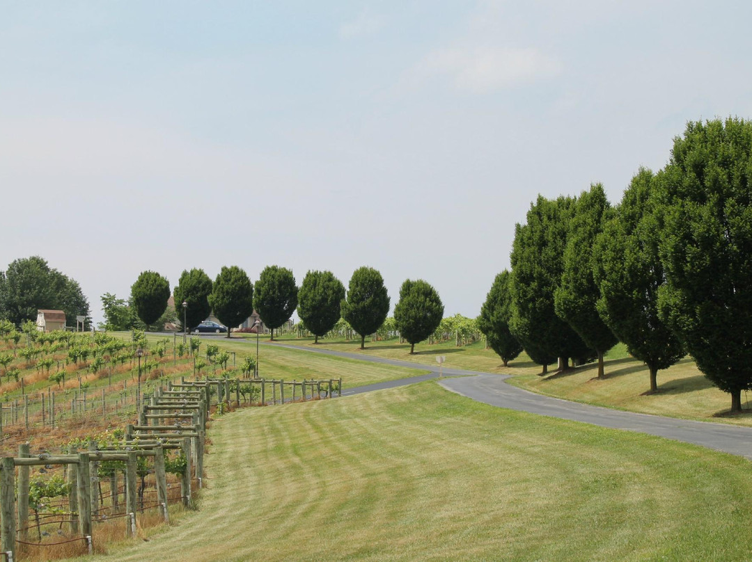 Bluestone Vineyard-Bridgewater必去景点