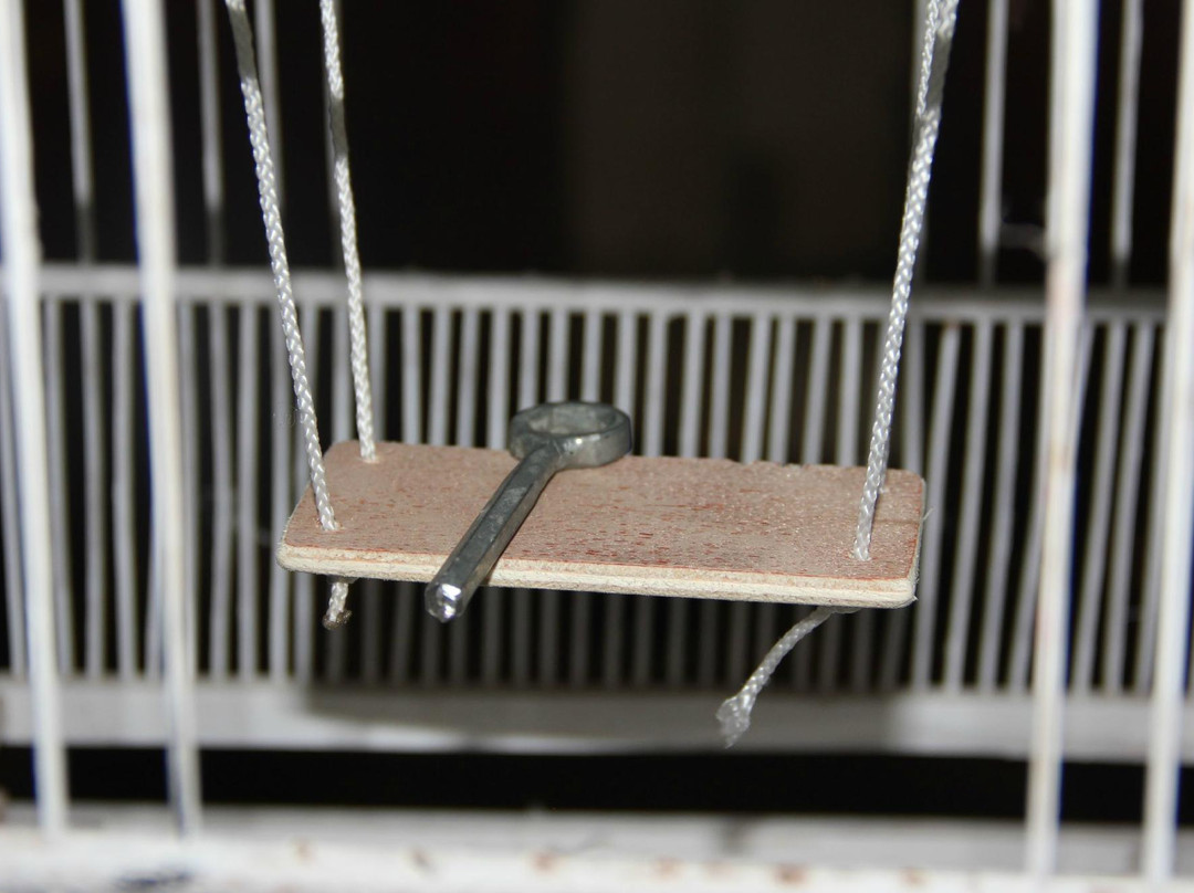 Escape Game Nouméa-努美阿必去景点