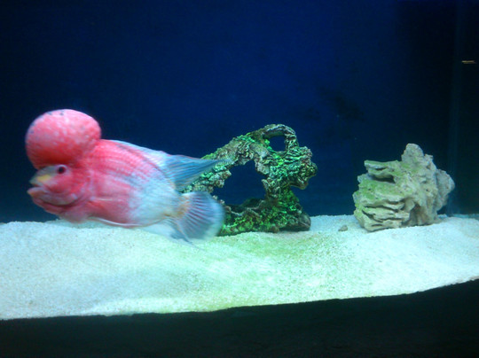 Discovery Park-Ilica必去景点