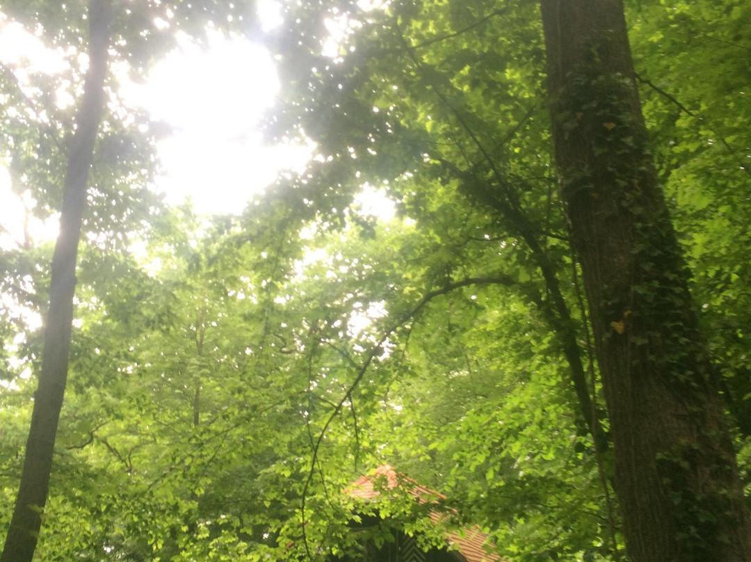 Leech Forest (Leechwald)-格拉茨城必去景点